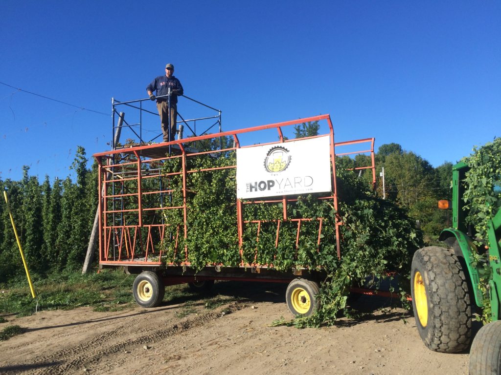 Harvest Wagon